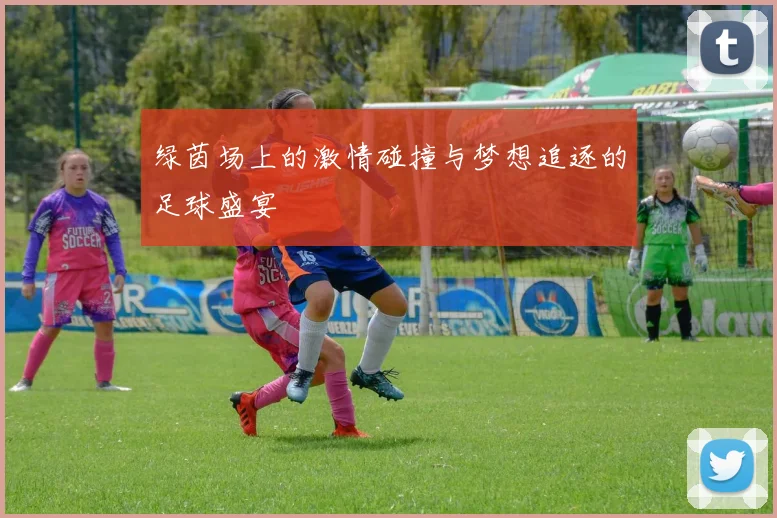 绿茵场上的激情碰撞与梦想追逐的足球盛宴