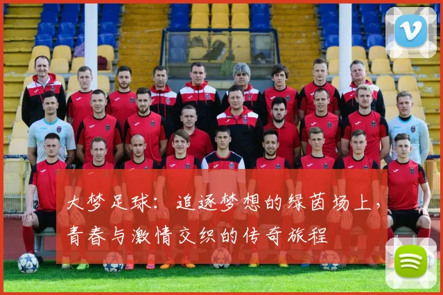 大梦足球：追逐梦想的绿茵场上，青春与激情交织的传奇旅程