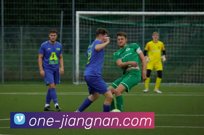 多媒体互动体验